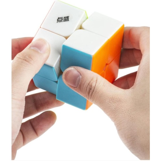 DianSheng 2x2 rubik cube Pro