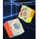 DianSheng 2x2 rubik cube Pro