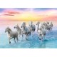 Galloping white horses