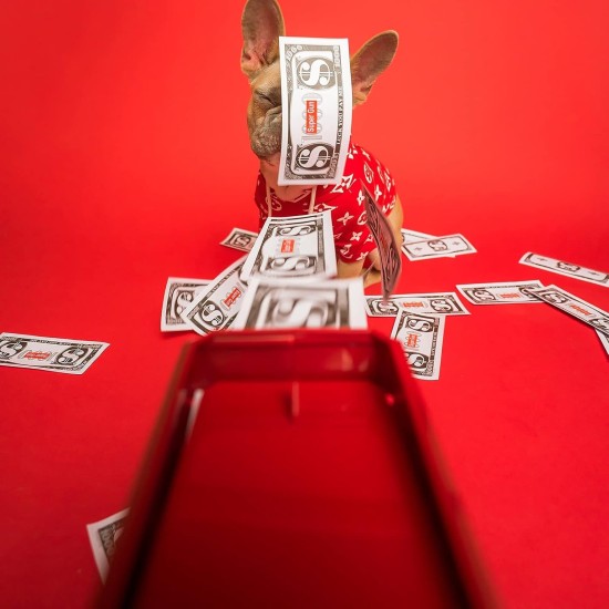 AWH LEOKKARR Red Money Gun Shooter, Toy Guns That Look Real, Prop Gun Cash Cannon for Game Movies Party Supplies with Play Money 100 Dollar Bills…