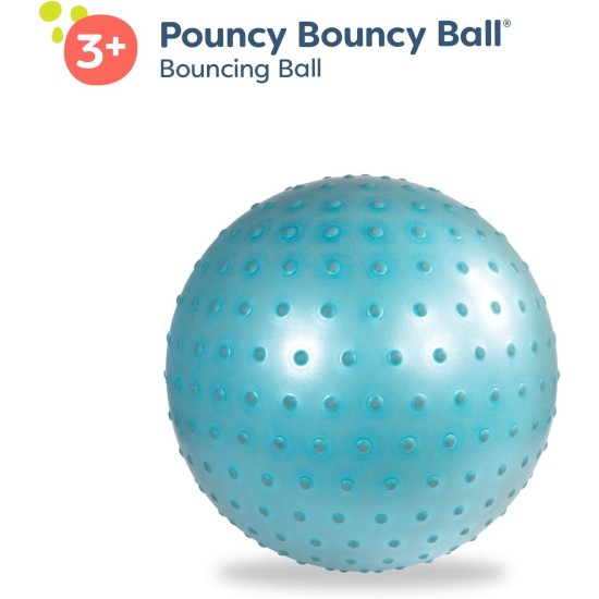 B.Toys Bouncing Ball Pouncy Bouncy Ball B.Toys Bouncing Ball Pouncy Bouncy Ball