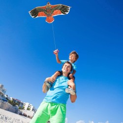 Eagle Kite for Children and Adults Easy to Fly, Beach Outdoor Toys, Games & Activities, Safe and Non-toxic Material, 2meter long - Multicolour