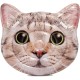 Intex 58784 Inflatable Cat Face Mat with Handles, 147 x 135 Centimeters-58784 Intex 58784 Inflatable Cat Face Mat with Handles, 147 x 135 Centimeters-58784