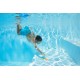 Bestway Squiggle Wiggle Fish Dive Toys Bestway Squiggle Wiggle Fish Dive Toys