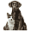 Pet Supplies