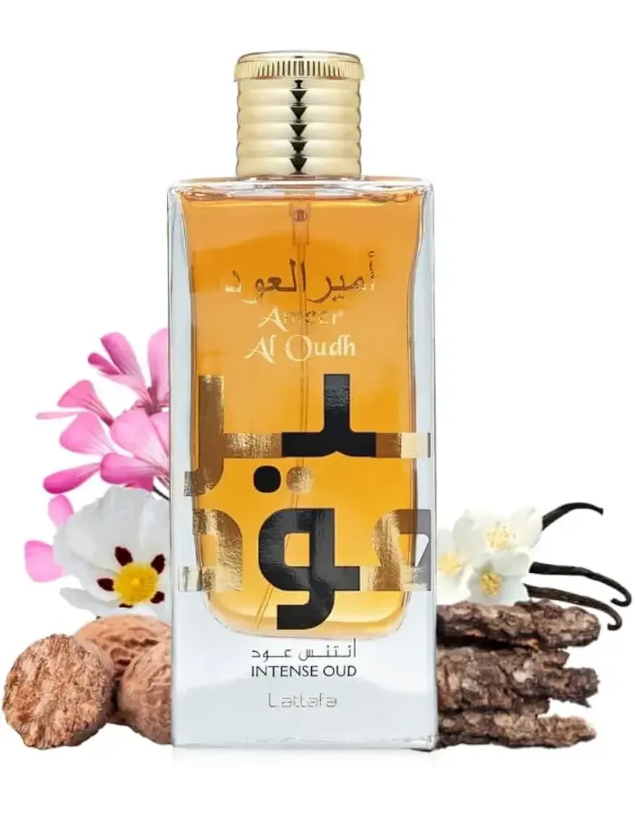 Ameer Al Oud EDP