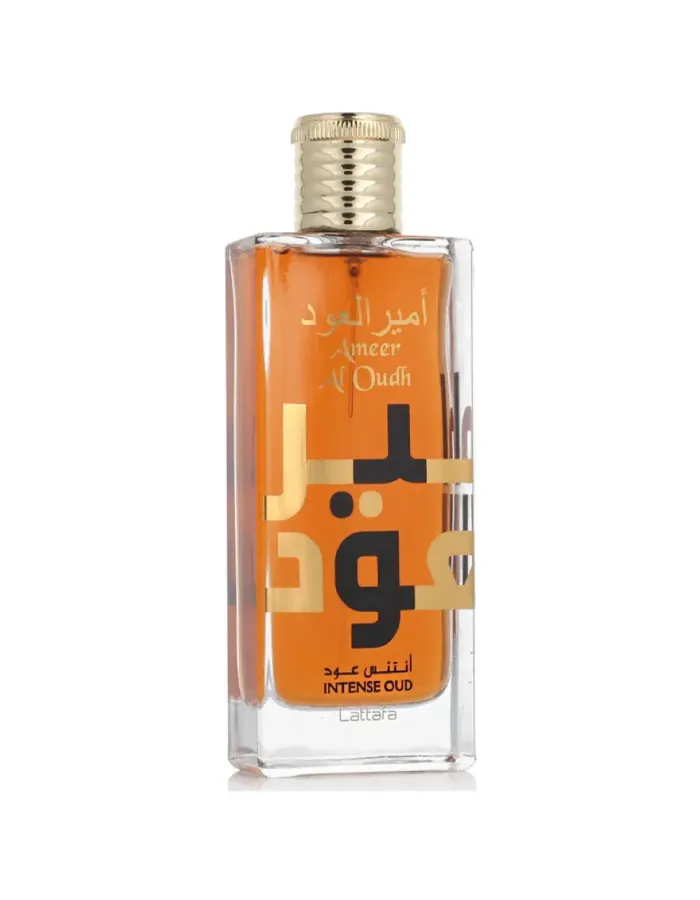 Ameer Al Oud EDP