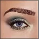 Max Factor Smokey Eye Drama Kit Magnetic Jades 05