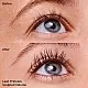 ess lash princess false lash efect mascara, 1 Count (Pack of 1)