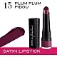 Bourjois rouge fabuleux the lipstick 15 plum plum pidou