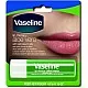 Vaseline Lip Therapy Aloe Vera Lip Care Stick 4.8g