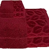 Soft Bath Towels Set, Absorbent Fade Resistant 100% Cotton, Highly Absorbent Towels for Bathroom, Gym, Hotel, and Spa (Barn Red, 2 Hand Towels & 2 Bath Towels)