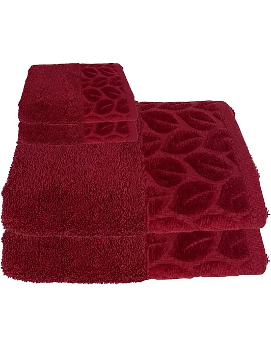 Soft Bath Towels Set, Absorbent Fade Resistant 100% Cotton, Highly Absorbent Towels for Bathroom, Gym, Hotel, and Spa (Barn Red, 2 Hand Towels & 2 Bath Towels)