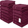 White Classic Luxury Washcloths for Bathroom-Hotel-Spa-Kitchen-Set - Circlet Egyptian Cotton - Highly Absorbent Hotel Quality Face Towels - Bulk Set of 12-13x13 Inch (Wine Red)