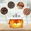 STNTUS Glass Teapot, 27 oz / 800 ml for Loose Tea, With Infuser and Stainless Steel Strainer, Stovetop Safe, 2-4 Cups