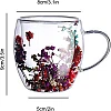 2pcs Double Wall Clear Glass Coffee Mugs Flower Double Walled Glass Coffee Cups Creative Clear Glass Cups with Flowers Insulated Clear Glass Mug for Tea Cappuccino Espressos Latte Juice Gifts(250ML)