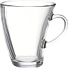 Pasabahce Tea Mug Set Penguen -6 Cups- 300 ml -Clear Color-Turkey Origin
