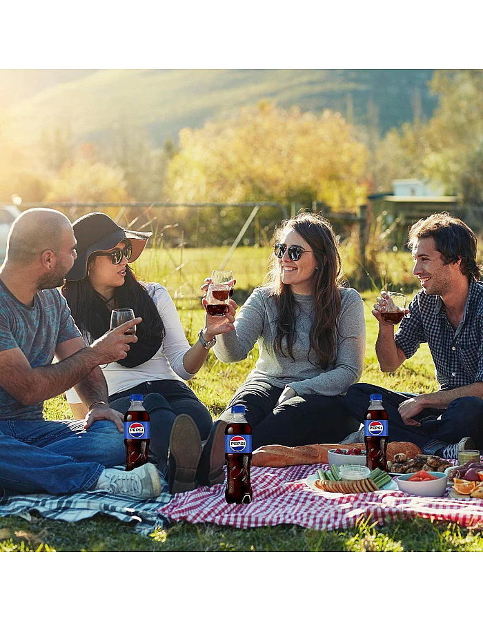 Pepsi Regular, Cola Flavor Soda Pet 390 Milliliters Pack of 12