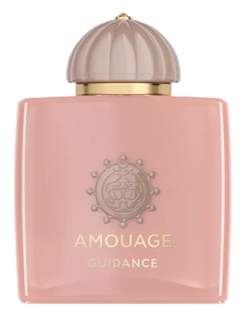 Amouage Guidance Eau de Parfum 100 ml