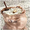 جادور