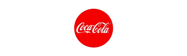 Coca-Cola-Can-300-ml-B0B37QJQHM